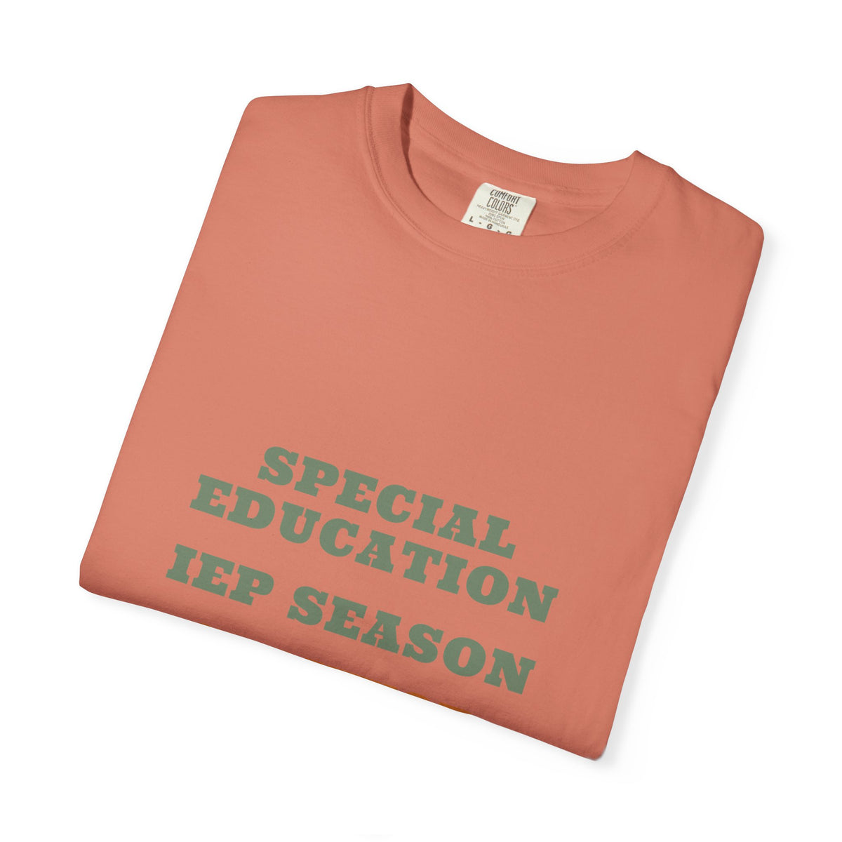SPED Teacher Shirt — Special Education IEP Season Survivor Tee | Comfort Colors® 1717