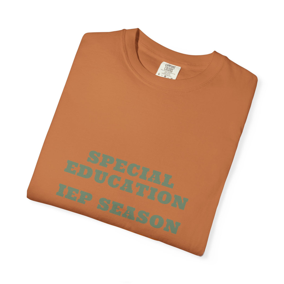 SPED Teacher Shirt — Special Education IEP Season Survivor Tee | Comfort Colors® 1717