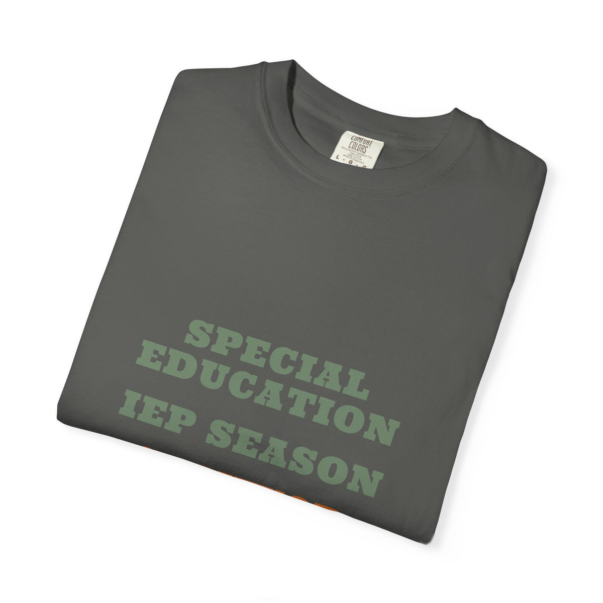 SPED Teacher Shirt — Special Education IEP Season Survivor Tee | Comfort Colors® 1717